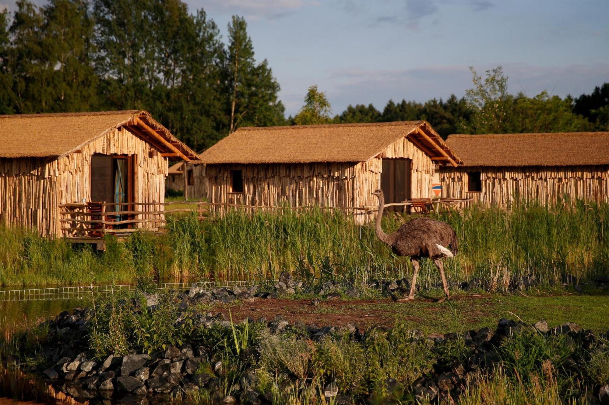 Serengeti Park Resort Hodenhagen